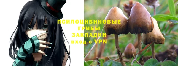 spice Алексеевка