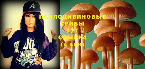 гидропоника Алзамай